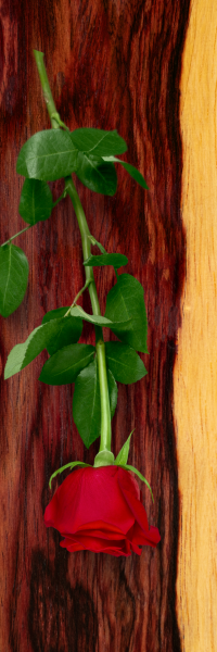  Lemnul de Trandafir in Practicile Spirituale Aroma Sacrata si Conexiune Divina1