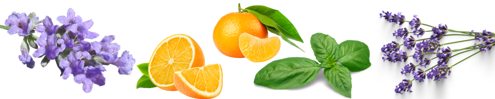 Aromaterapia si beneficiile sale asupra somnului copiilor1