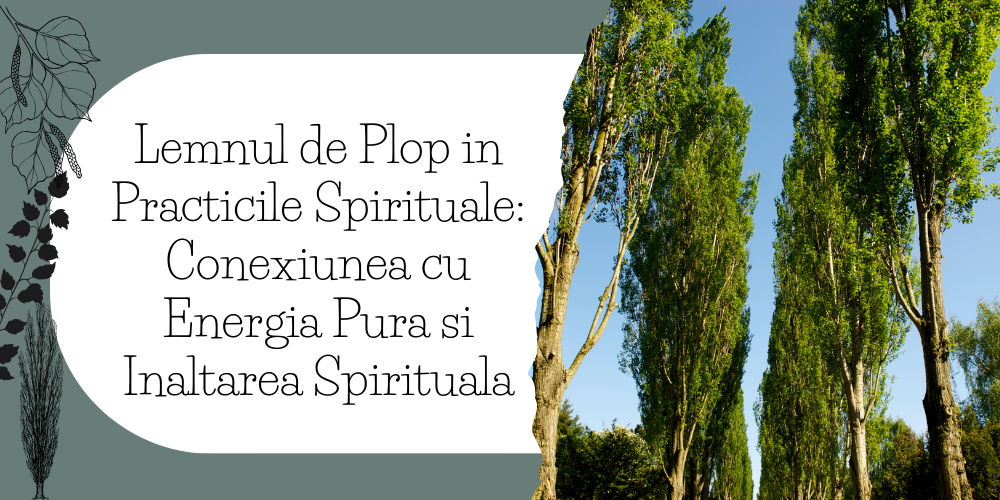 Lemnul de Plop in Practicile Spirituale Conexiunea cu Energia Pura si Inaltarea Spirituala