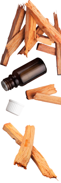 Lemnul de Santal in Meditatie - Atingerea Linistii Interioare1