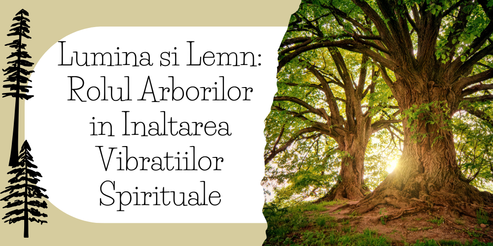 Lumina si Lemn Rolul Arborilor in Inaltarea Vibratiilor Spirituale