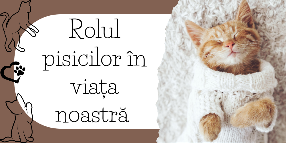 Rolul pisicilor in viata noastra