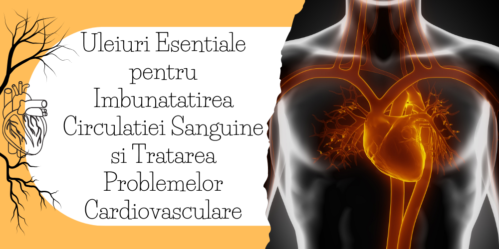 Uleiuri Esentiale pentru Imbunatatirea Circulatiei Sanguine si Tratarea Problemelor Cardiovasculare