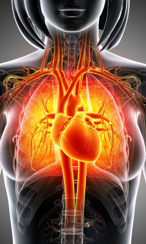 Uleiuri Esentiale pentru Imbunatatirea Circulatiei Sanguine si Tratarea Problemelor Cardiovasculare2