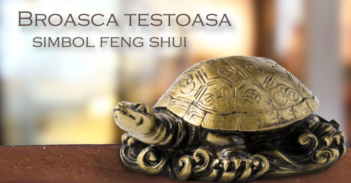 Broasca testoasa- Simbol feng shui