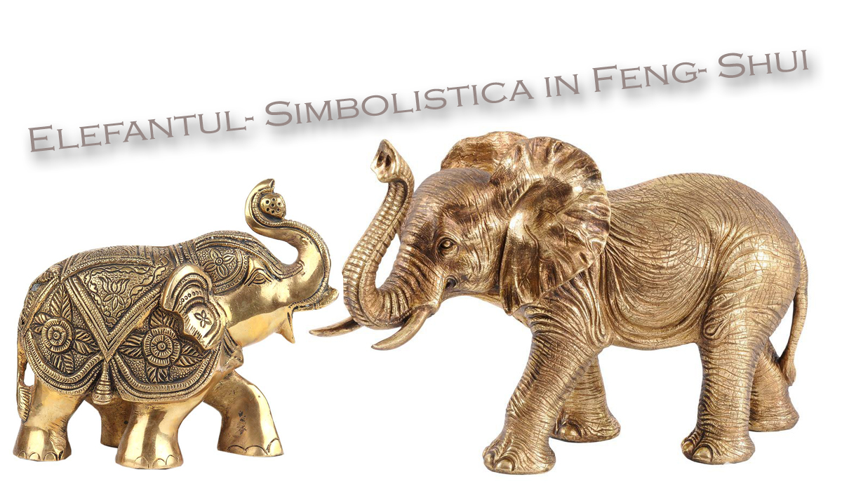 Elefantul- Simbolistica in feng shui