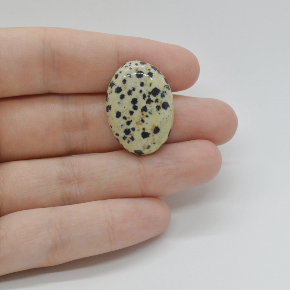 Cabochon jasp dalmatian 26x18x6mm c32