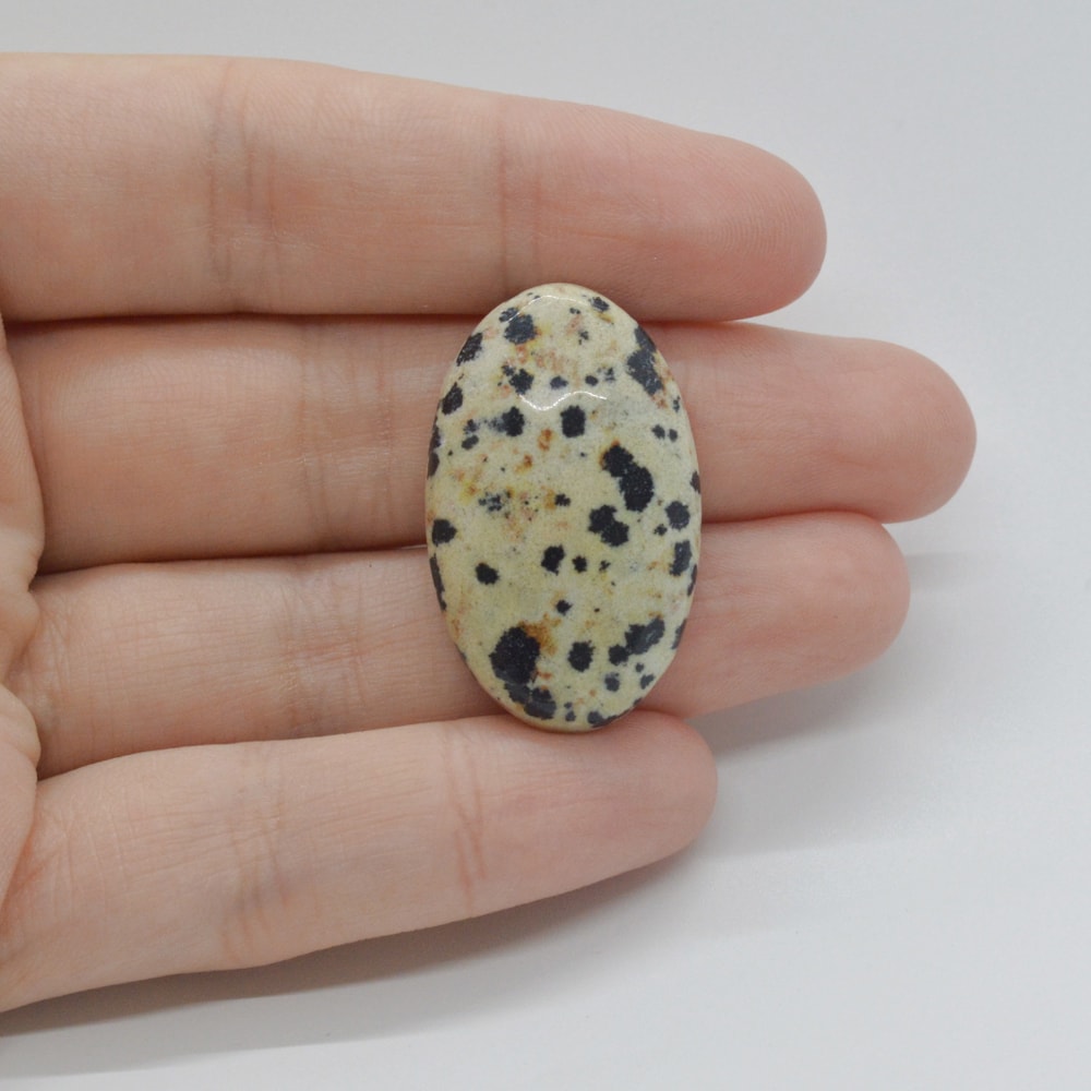 Cabochon jasp dalmatian 32x19x7mm c4