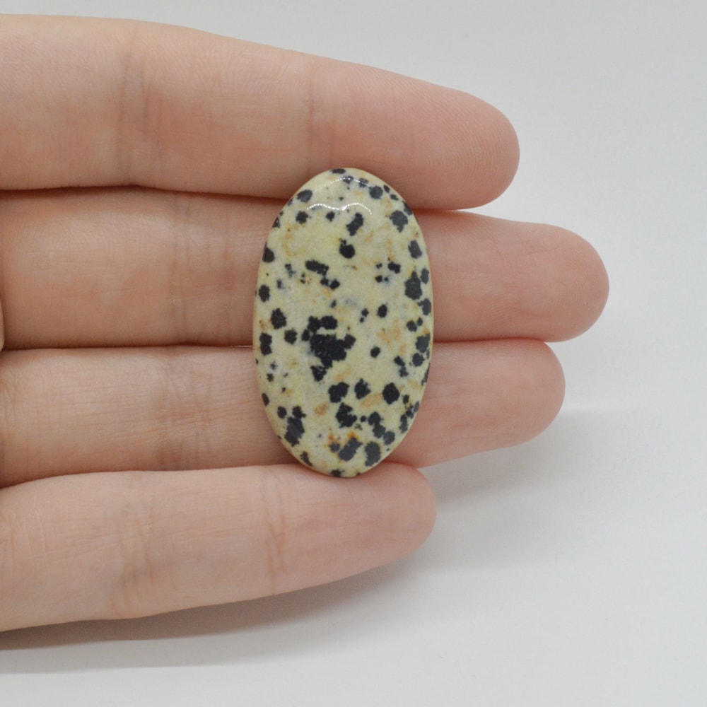 Cabochon jasp dalmatian 33x19x6mm c37