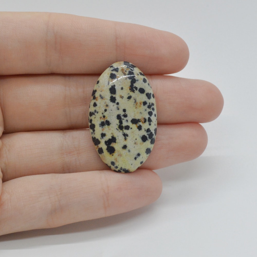 Cabochon jasp dalmatian 33x20x6mm c24