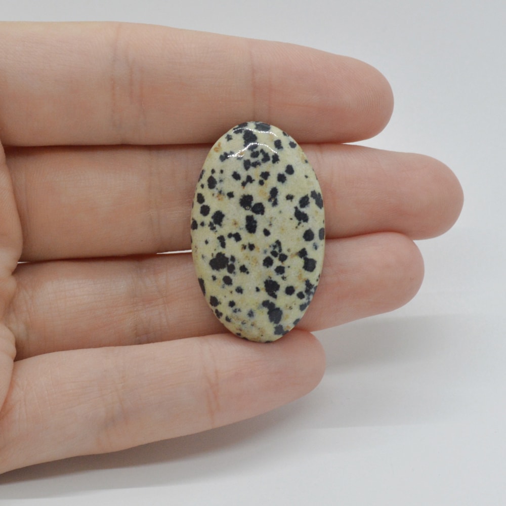 Cabochon jasp dalmatian 33x20x6mm c26