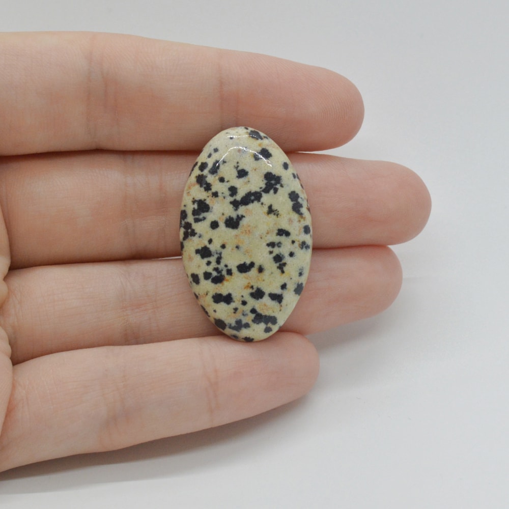 Cabochon jasp dalmatian 33x20x6mm c31