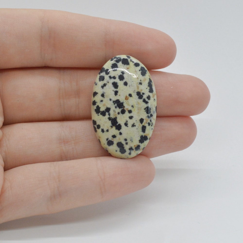 Cabochon jasp dalmatian 33x20x6mm c54