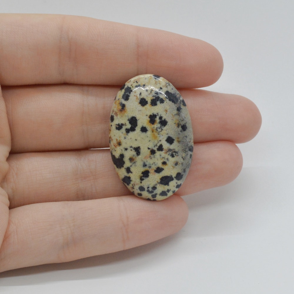 Cabochon jasp dalmatian 33x22x5mm c27