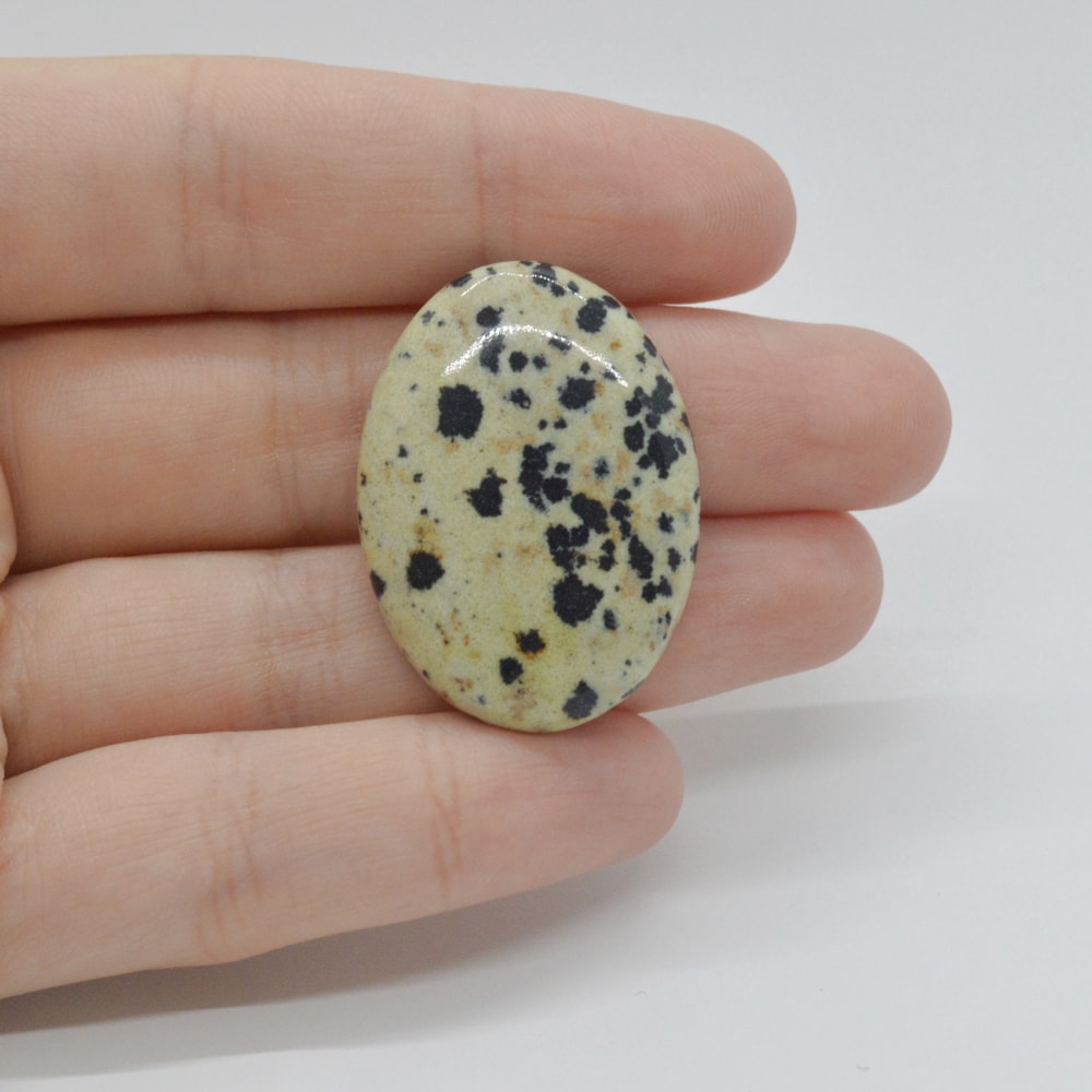 Cabochon jasp dalmatian 33x24x6mm c9