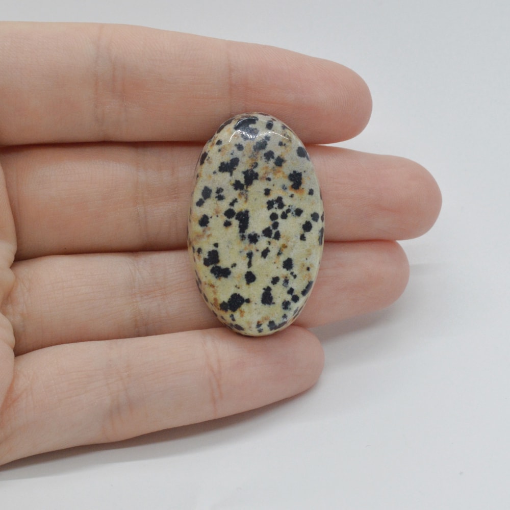 Cabochon jasp dalmatian 35x21x8mm c5