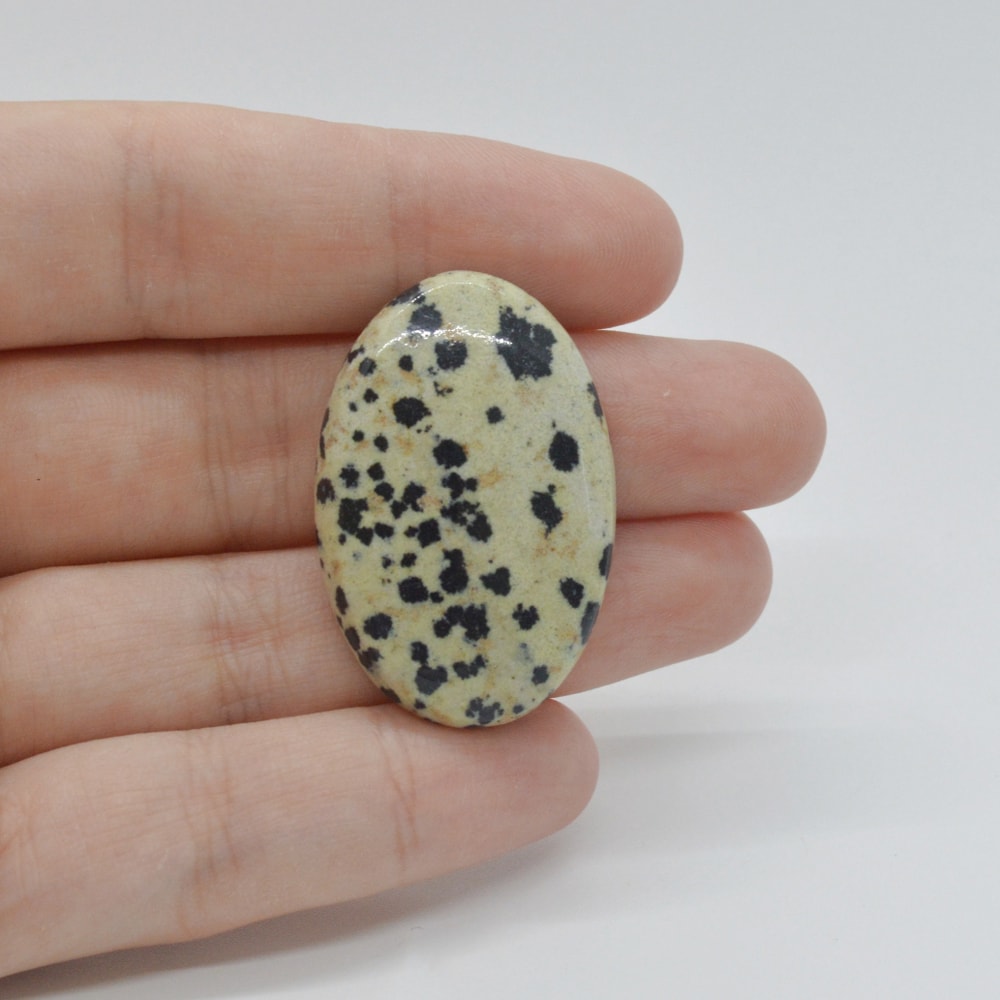 Cabochon jasp dalmatian 35x23x6mm c48