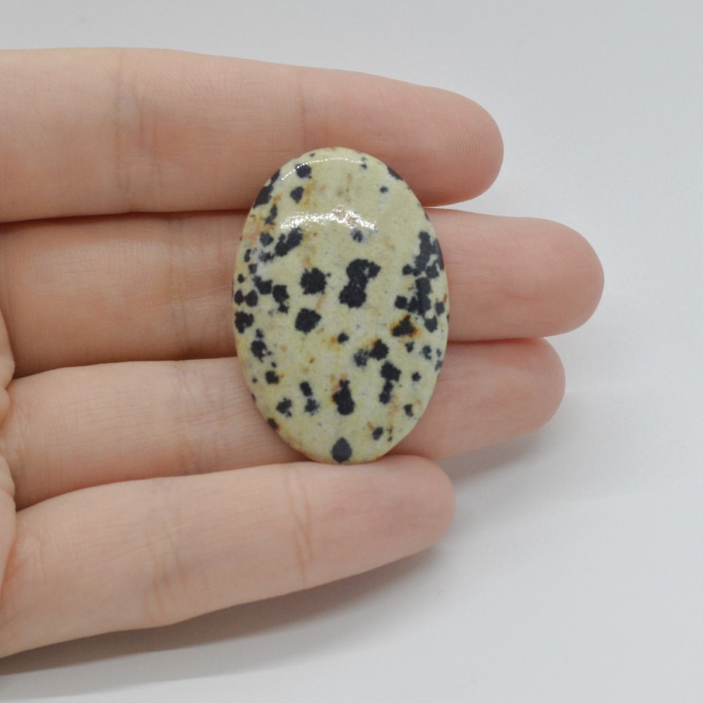 Cabochon jasp dalmatian 35x24x5mm c16