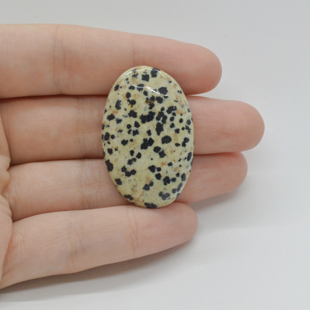 Cabochon jasp dalmatian 37x24x6mm c36