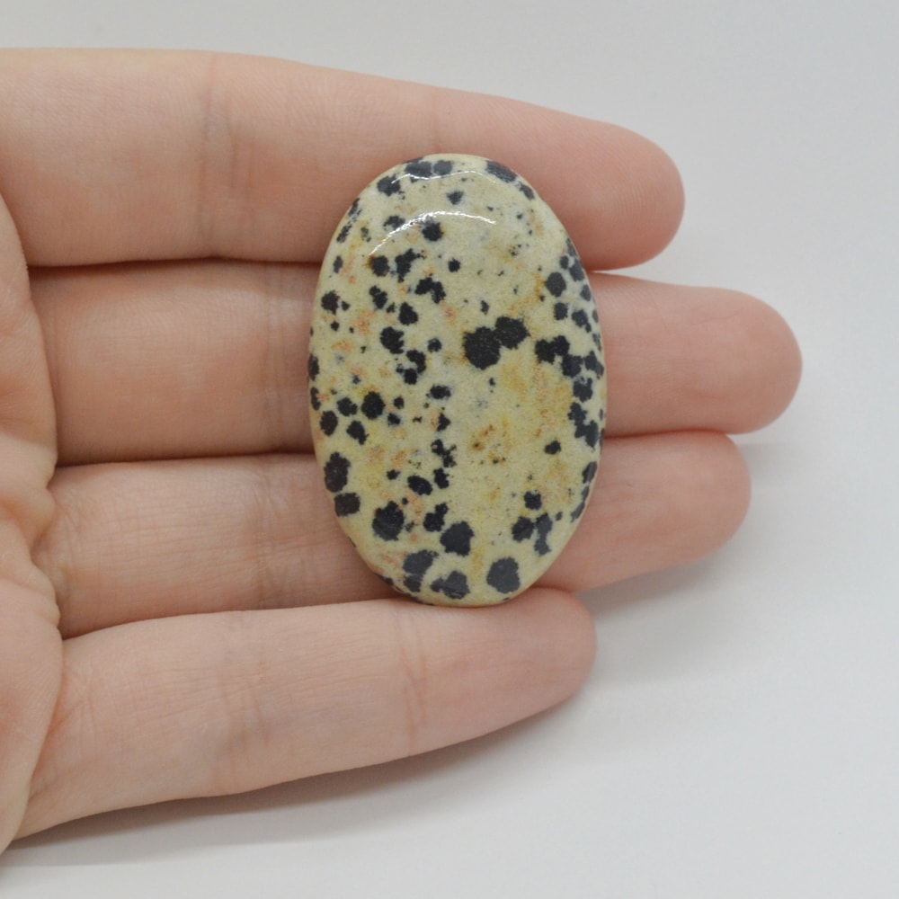 Cabochon jasp dalmatian 40x26x7mm c40