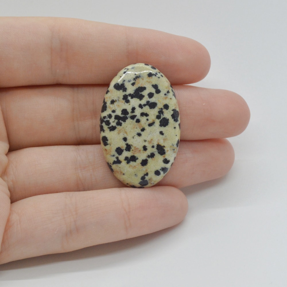 Cabochon jasp dalmatian 34x22x5mm c131