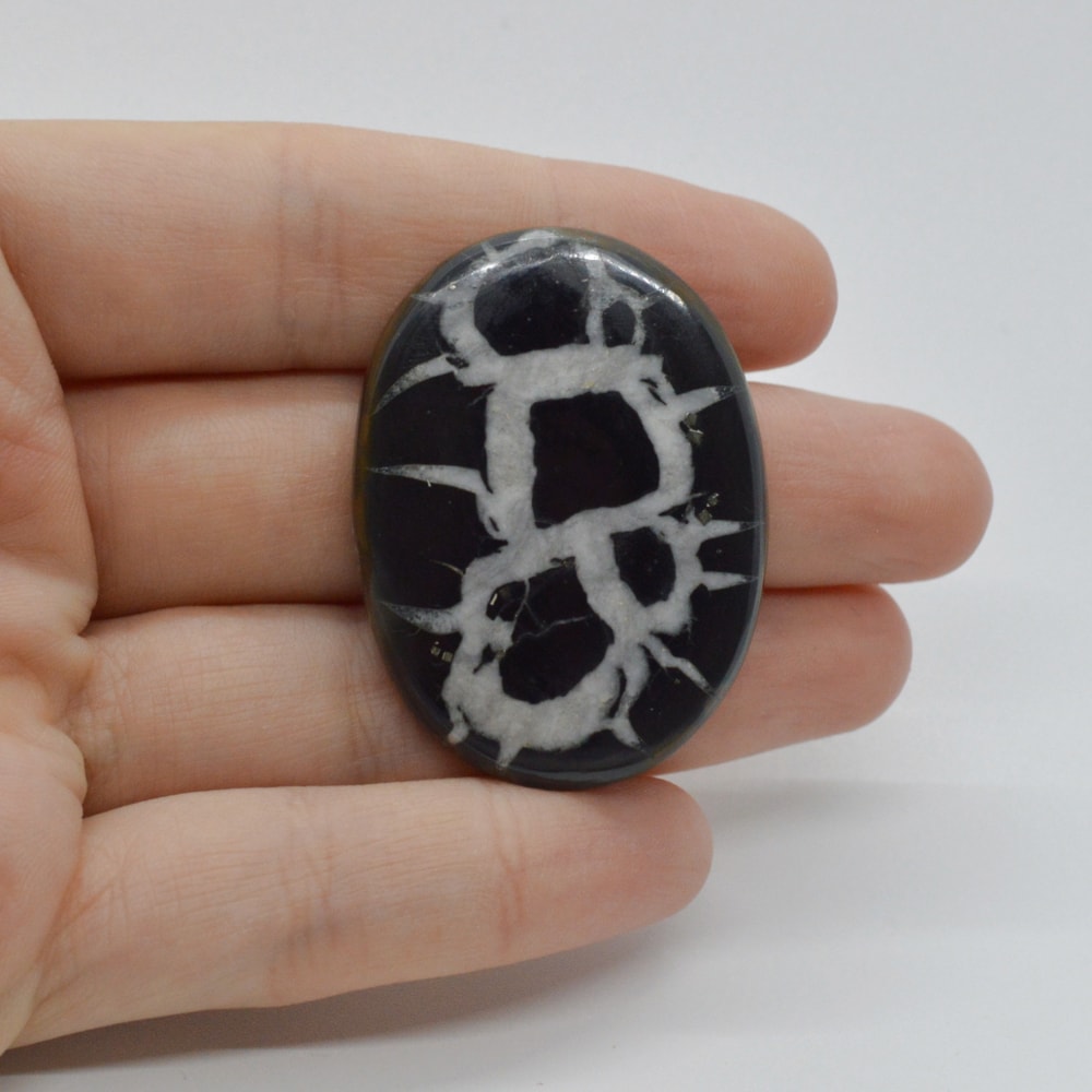 Cabochon septaria negru 41x30x6mm c20