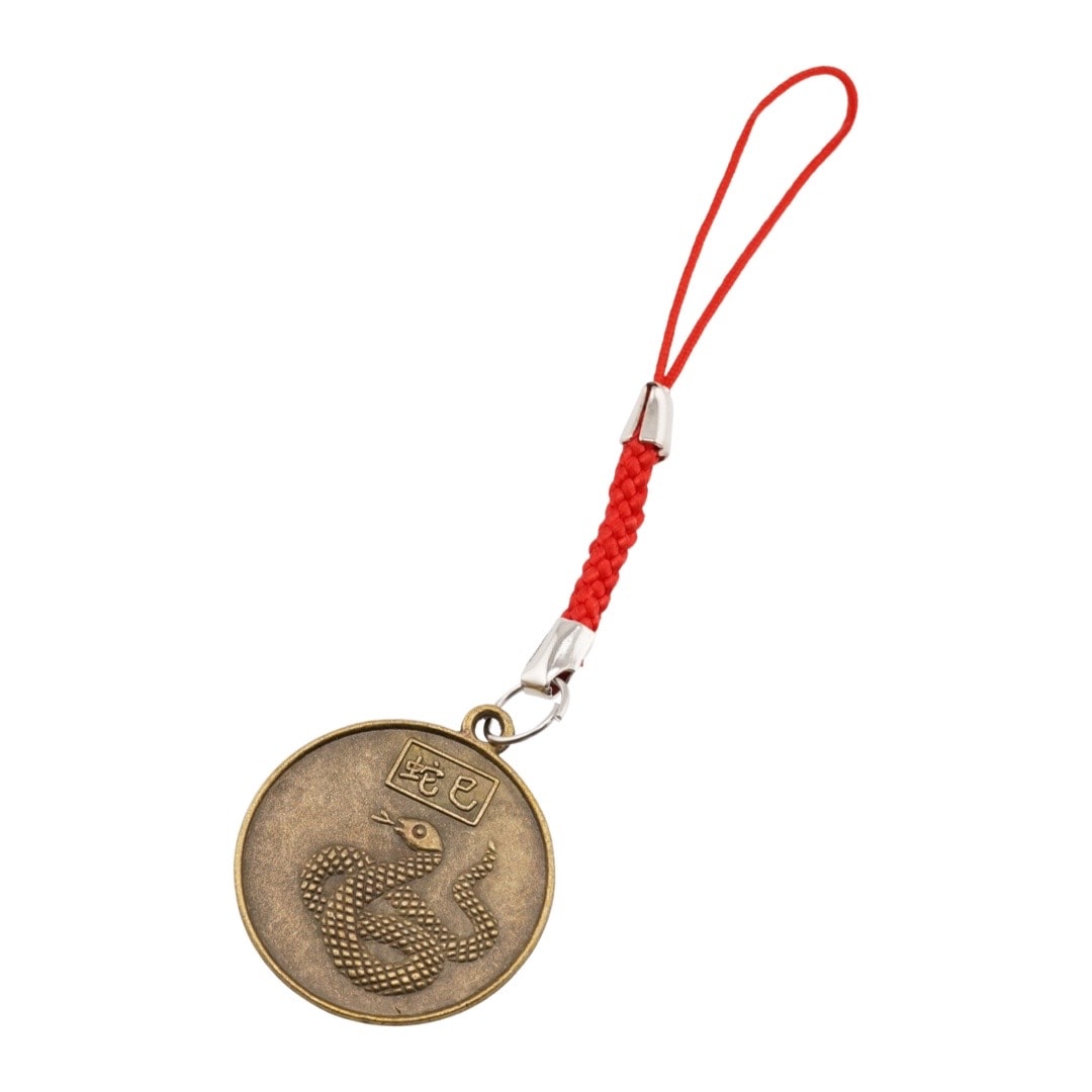 Amuleta feng shui cu moneda simbol sarpe si snur rosu
