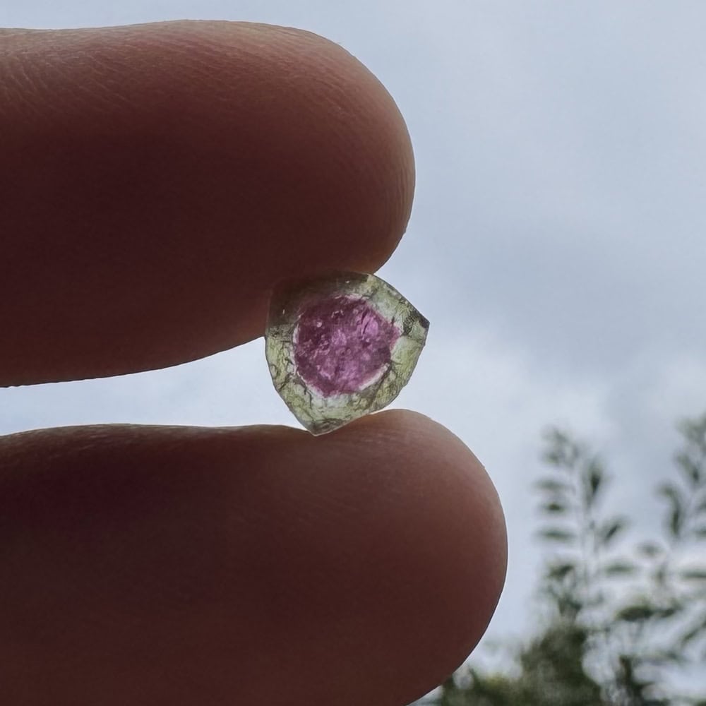 Turmalina watermelon cristal natural unicat cod a19 6x5mm 29ct