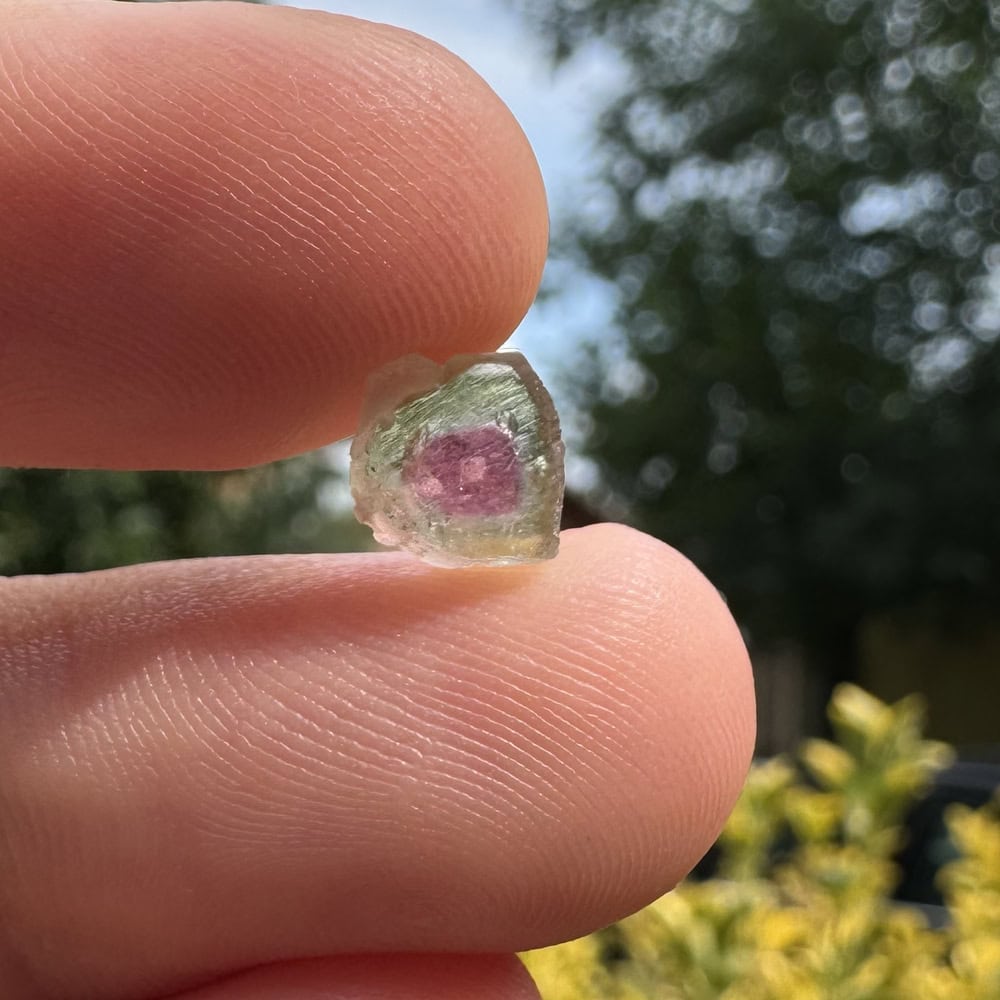 Turmalina watermelon cristal natural unicat cod a32 7x3mm 185ct