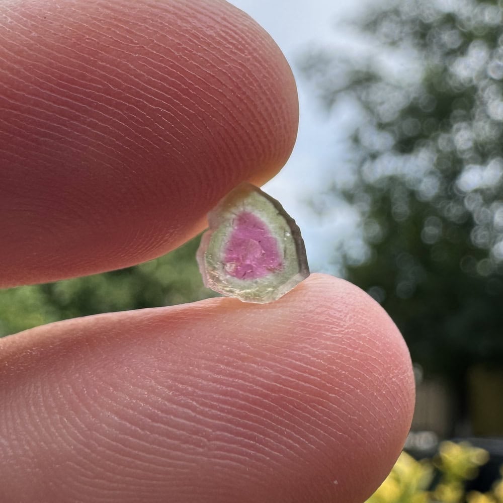 Turmalina watermelon cristal natural unicat cod a56 6x3mm 151ct