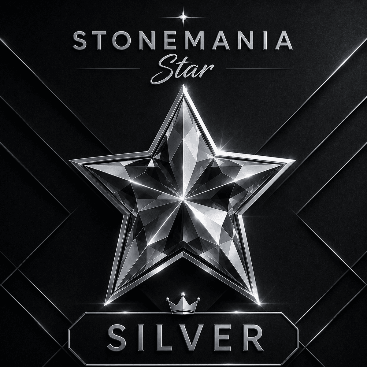 Star Silver - 5% extra la produsele cu preț întreg