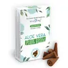Conuri parfumate pe baza de plante Aloe Vera, 12 bucati, Backflow