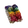 Buchet Salvie Alba cu flori 7 chakre - 12cm (California White Sage), imagine 3