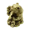 Statueta Feng Shui Tigru cu Monede si Pepite - 14cm, imagine 2