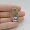 Cabochon Agat Crazy Lace 35x23x5mm C68, imagine 2