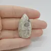 Cabochon Agat Crazy Lace 36x20x5mm C108