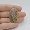 Cabochon Agat Crazy Lace 38x24x4mm C100
