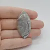 Cabochon Agat Crazy Lace 43x22x5mm C73