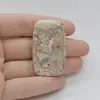Cabochon Agat Crazy Lace 43x26x5mm C51