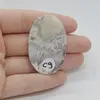 Cabochon Agat Crazy Lace 46x29x6mm C9, imagine 2
