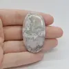 Cabochon Agat Crazy Lace 47x26x5mm C1