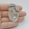 Cabochon Agat Crazy Lace 52x30x5mm C3, imagine 2