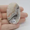 Cabochon Agat Crazy Lace 56x35x6mm C7, imagine 2