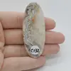 Cabochon Agat Crazy Lace 61x24x6mm C132, imagine 2