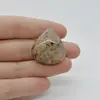 Cabochon Agat Dentritic 29x27x7mm C21