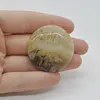 Cabochon Agat Dentritic 38x38x5mm C18
