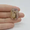 Cabochon Agat Montana 31x23x8mm C20