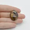 Cabochon Bronzit 29x22x8mm C27