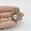 Cabochon Bronzit 39x27x7mm C12, imagine 2