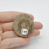 Cabochon Bronzit 41x35x6mm C59, imagine 2
